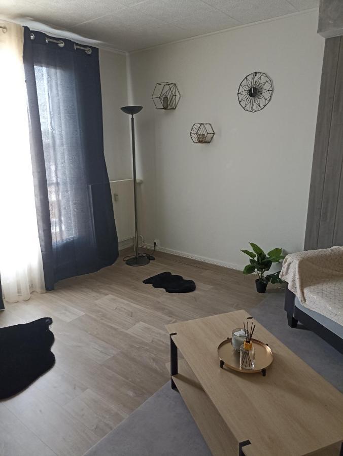 Un Temps Pour Soi Apartment Châteauroux Екстериор снимка